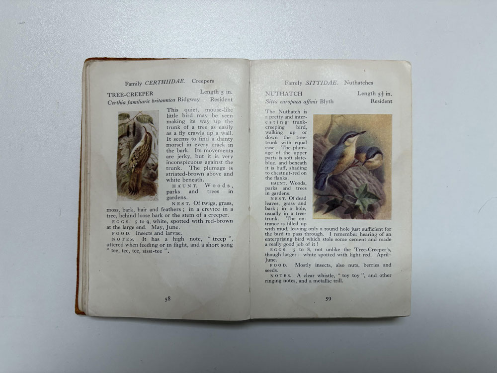 The observer's book of birds spread